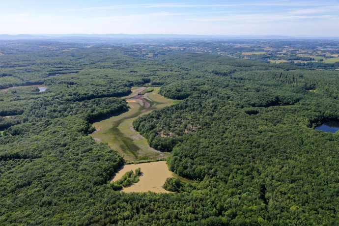 Étang du Grand Albert, asséché depuis la rupture de sa digue